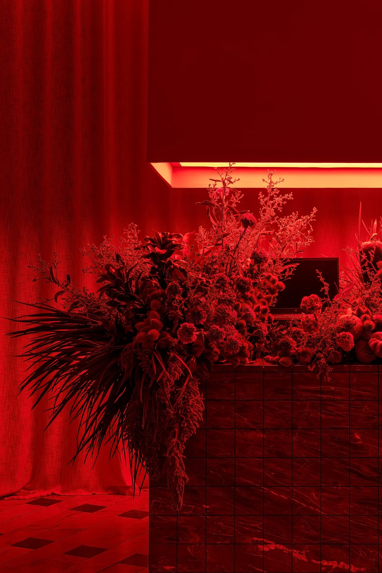 Avell Desvio Rubro — 