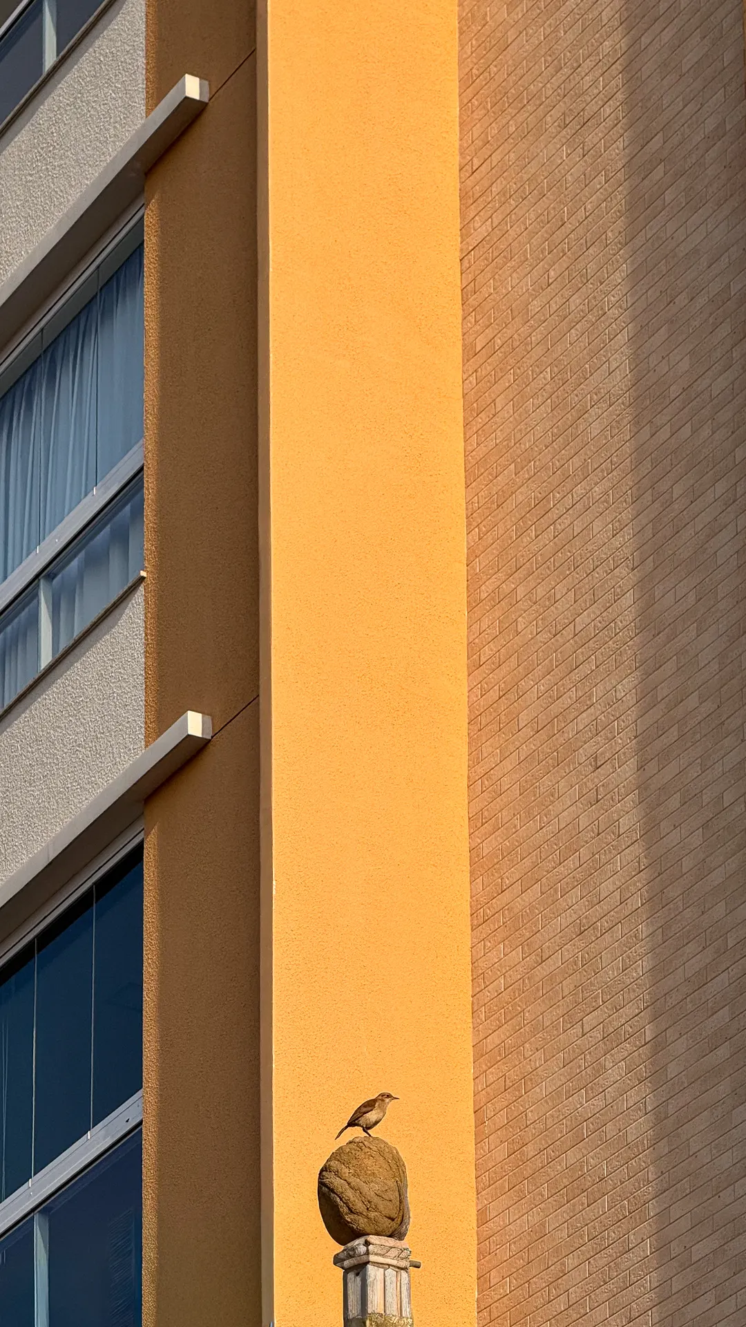 Royal Residence, edificio en Navegantes — foto 15